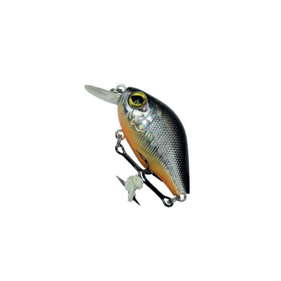 Text